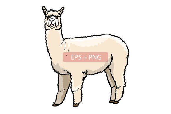 Alpaca Mammals Animal Illustration: Design Assets for Creative Projects