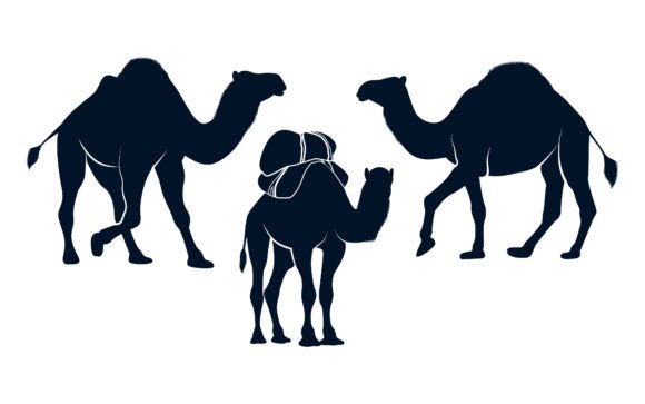 Animal Camel Silhouettes Vector Art for Creative Projects