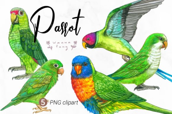 Parrot Watercolor Animal Clipart, PNG: A Splash of Tropical Vibrancy