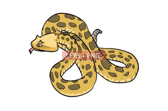 Snake Vectors: Unlocking the Power of Viper Animal Illustration
